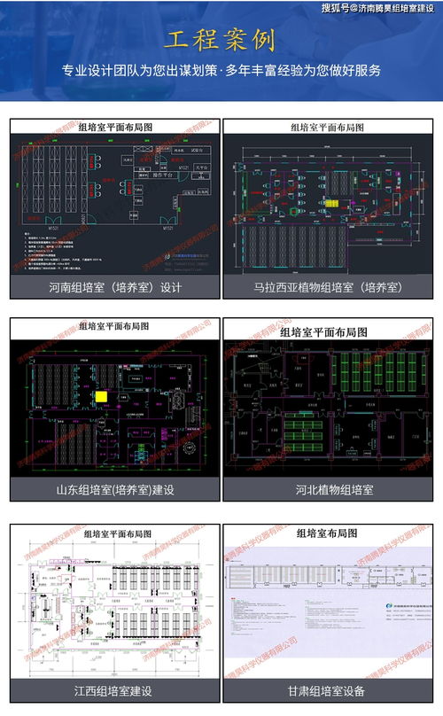 馬鈴薯組培實(shí)驗(yàn)室的設(shè)計(jì)與計(jì)算機(jī)輔助設(shè)備配置
